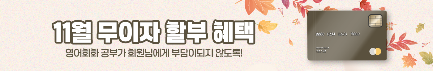 11월 무이자 할부