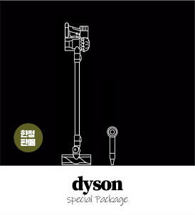 dyson 패키지